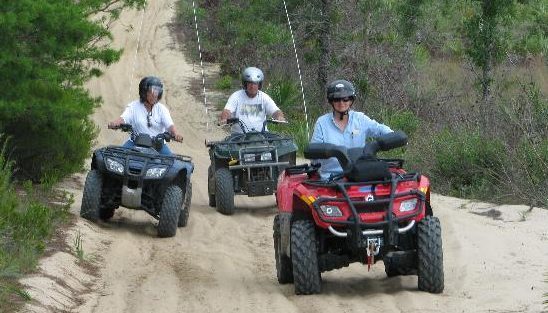 Trails through the Ocala National Forest