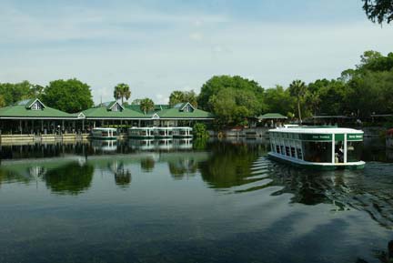 Glass-bottom boats at Silver Springs State Park